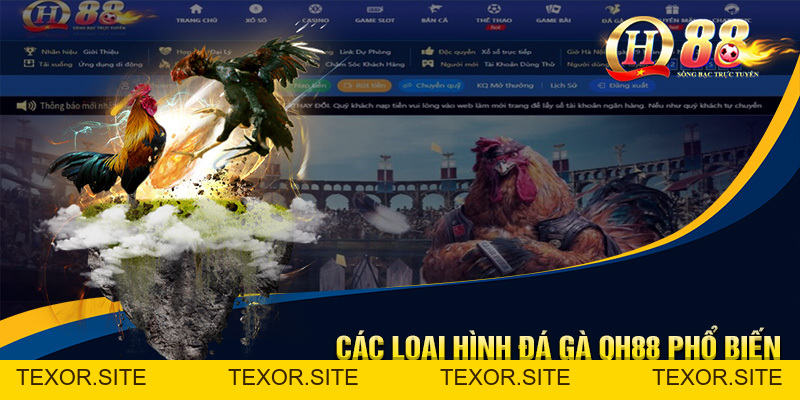 Đá Gà QH88 - Sân Chơi Trực Tuyến Hấp Dẫn, Hội Tụ Chiến Kê