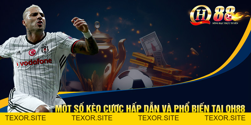 Thể Thao QH88 - Cá Cược Đa Dạng Xanh Chín Và Uy Tín